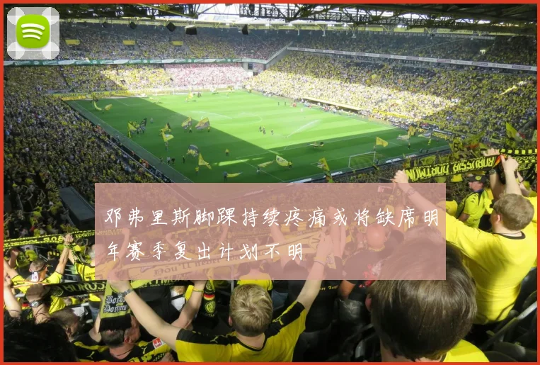 邓弗里斯脚踝持续疼痛或将缺席明年赛季复出计划不明