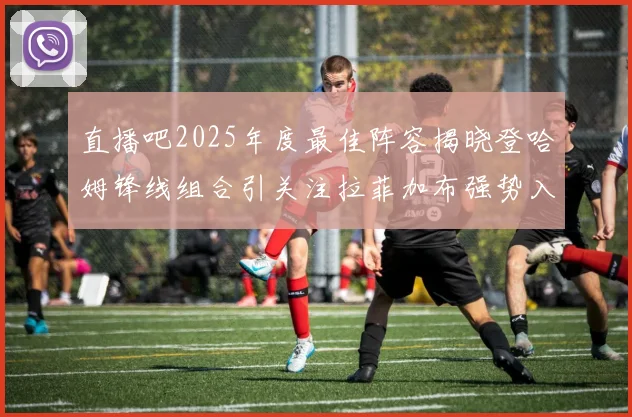 直播吧2025年度最佳阵容揭晓登哈姆锋线组合引关注拉菲加布强势入选