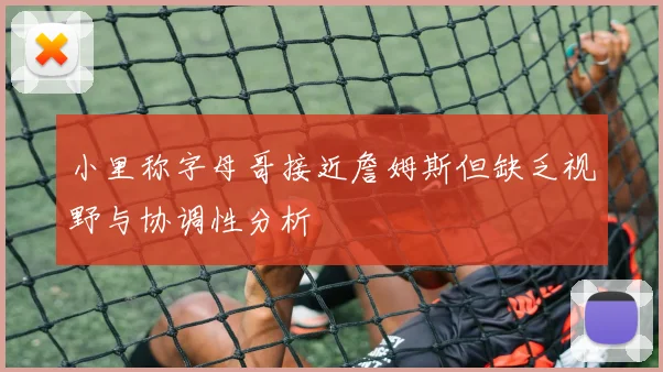 小里称字母哥接近詹姆斯但缺乏视野与协调性分析